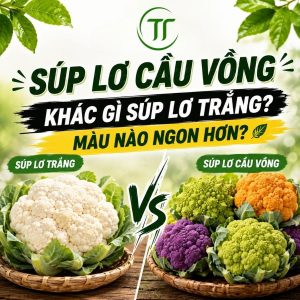 Súp Lơ Cầu Vồng Khác Gì Súp Lơ Trắng? Màu Nào Ngon Hơn?