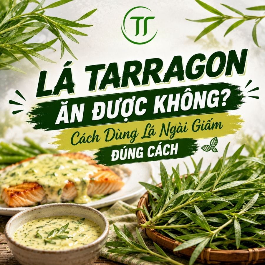 Lá Tarragon Ăn Được Không? Cách Dùng Lá Ngải Giấm Đúng Cách