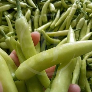 Ớt Bống Là Gì? Đặc Điểm, Độ Cay Và Cách Dùng