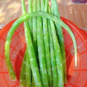 Rau Tiến Vua Là Gì? Cách Ngâm, Sơ Chế Và Chế Biến Đúng Cách