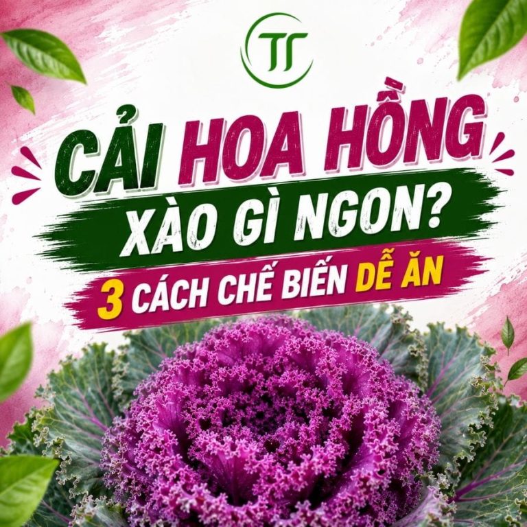 Cải Hoa Hồng Xào Gì Ngon? 3 Cách Chế Biến Dễ Ăn