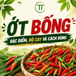 Ớt Bống Là Gì? Đặc Điểm, Độ Cay Và Cách Dùng