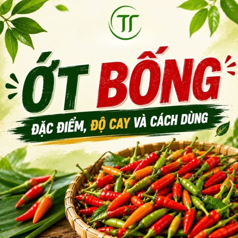 Ớt Bống Là Gì? Đặc Điểm, Độ Cay Và Cách Dùng