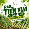 Rau Tiến Vua Là Gì? Cách Ngâm, Sơ Chế Và Chế Biến Đúng Cách