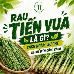 Rau Tiến Vua Là Gì? Cách Ngâm, Sơ Chế Và Chế Biến Đúng Cách