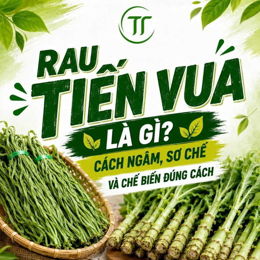 Rau Tiến Vua Là Gì? Cách Ngâm, Sơ Chế Và Chế Biến Đúng Cách