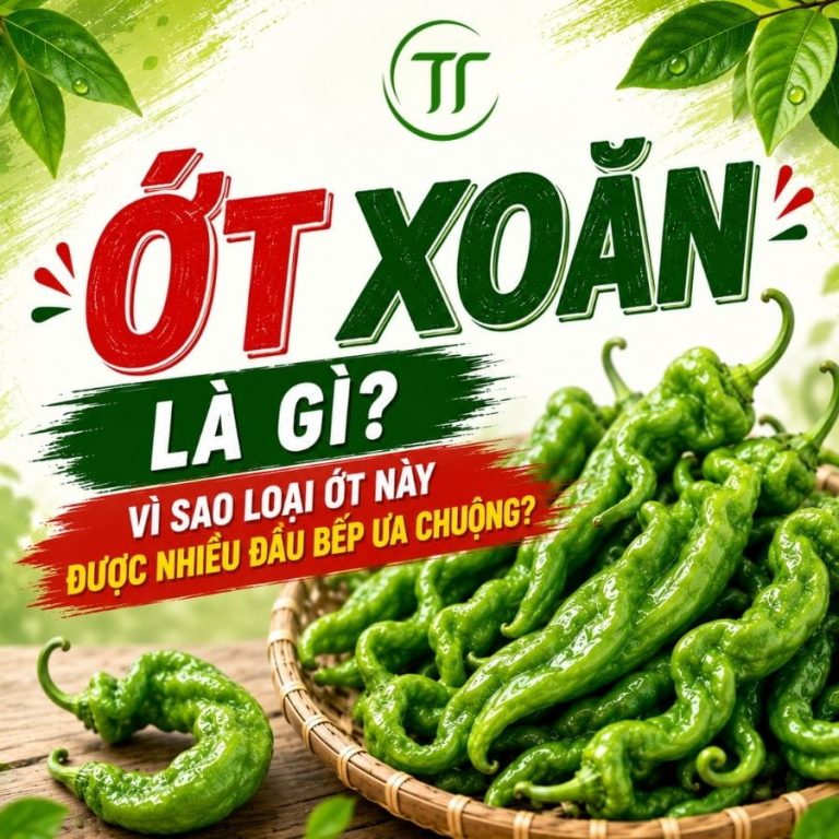 Ớt Xoăn Là Gì? Vì Sao Loại Ớt Này Được Nhiều Đầu Bếp Ưa Chuộng?