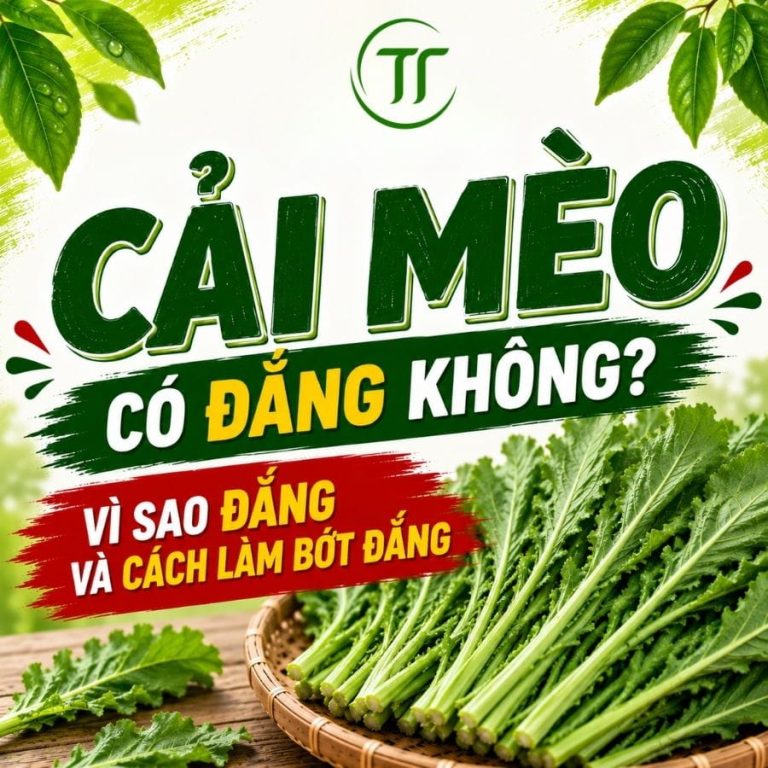 Cải Mèo Có Đắng Không? Vì Sao Đắng Và Cách Làm Bớt Đắng