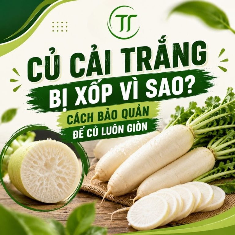Củ Cải Trắng Bị Xốp Vì Sao? Cách Bảo Quản Để Củ Luôn Giòn