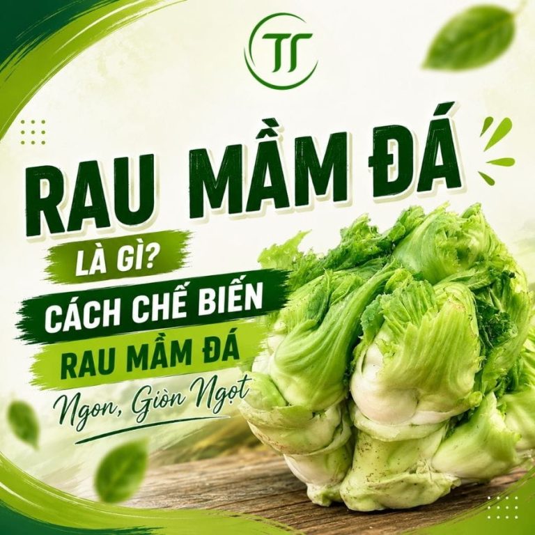 Rau Mầm Đá Là Gì? Cách Chế Biến Rau Mầm Đá Ngon, Giòn Ngọt