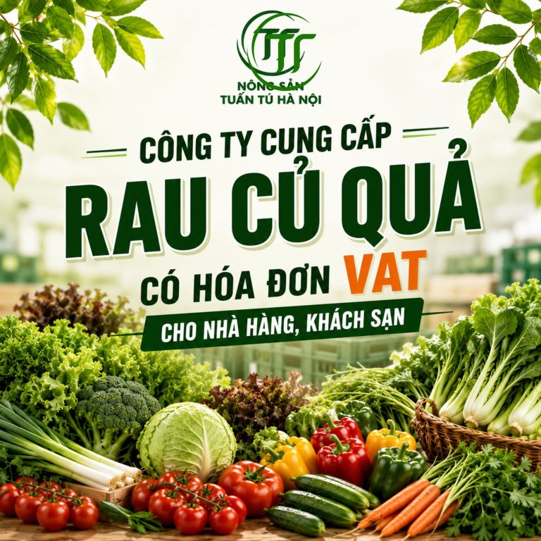 Công Ty Cung Cấp Rau Củ Quả Sỉ Có Hóa Đơn VAT Cho Nhà Hàng