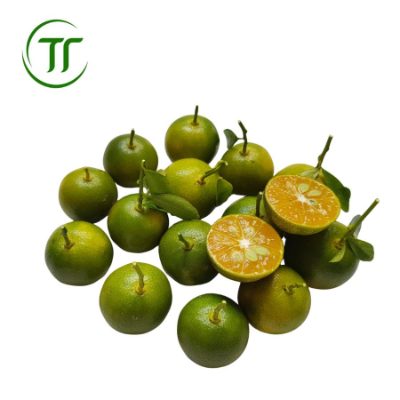 Quất Vắt Nước Quất Vắt Nước