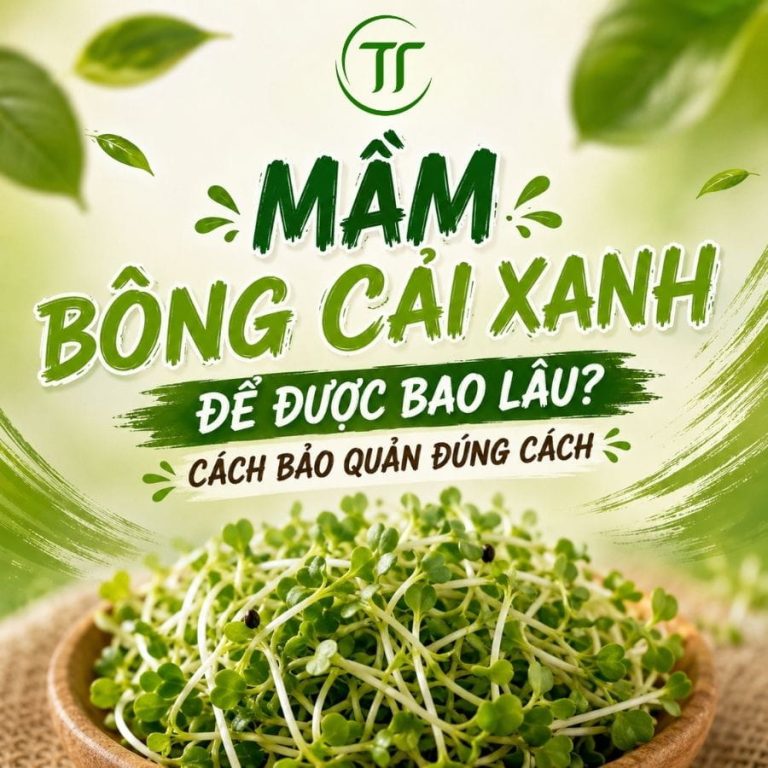 Mầm Bông Cải Xanh Để Được Bao Lâu? Cách Bảo Quản Đúng Cách