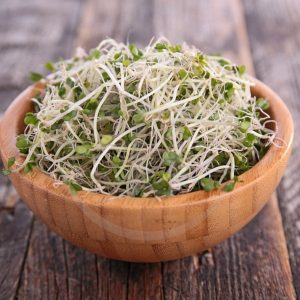 Mầm Bông Cải Xanh Để Được Bao Lâu? Cách Bảo Quản Đúng Cách