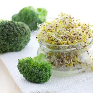 Mầm Bông Cải Xanh Để Được Bao Lâu? Cách Bảo Quản Đúng Cách