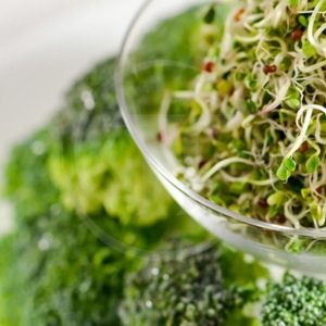 Mầm Bông Cải Xanh Để Được Bao Lâu? Cách Bảo Quản Đúng Cách