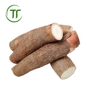 Sắn Củ