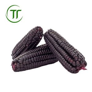 Ngô Tím