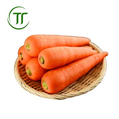 Cà Rốt Ta Cà Rốt Ta