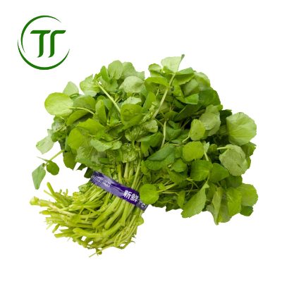 Cải Xoong Cải Xoong