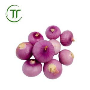 Hành Indo Thái Sẵn