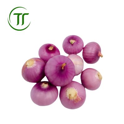 Hành Indo Thái Sẵn Hành Indo Thái Sẵn