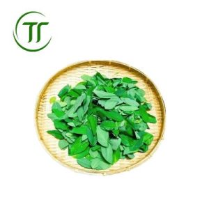 Rau Ngót Nhặt Sẵn