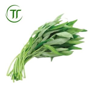 Rau Muống Non