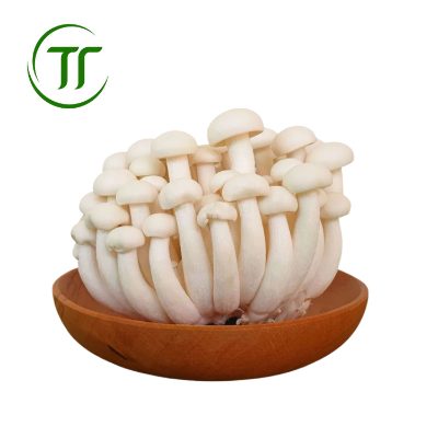 Nấm Ngọc Châm Trắng Nấm Ngọc Châm Trắng