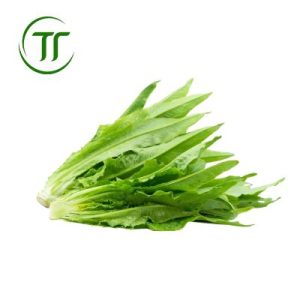 Diếp Nếp
