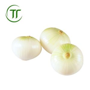 Hành Tây Trắng Bóc Vỏ