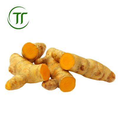 Nghệ Ta Nghệ Ta