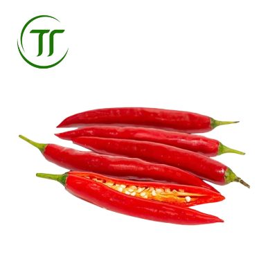 Ớt Chỉ Địa Ớt Chỉ Địa