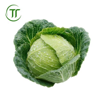 Bắp Cải Ta (Sơ Chế) Bắp Cải Ta (Sơ Chế)