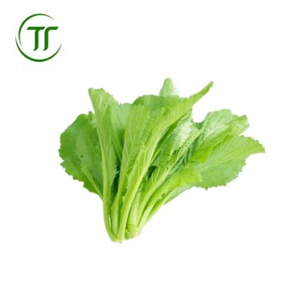 Cải Cay Cải Cay