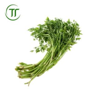 Cần Nước