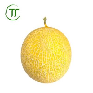 Dưa Lưới Vàng