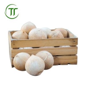 Dừa sọ