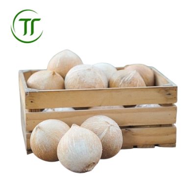 Dừa sọ Dừa sọ