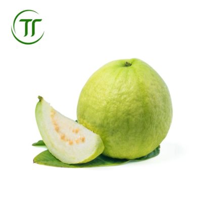 Ổi Thái Ổi Thái
