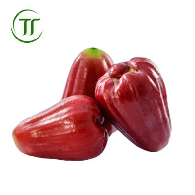 Roi Đỏ Roi Đỏ