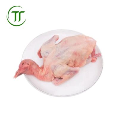 Chim Cút Chim Cút