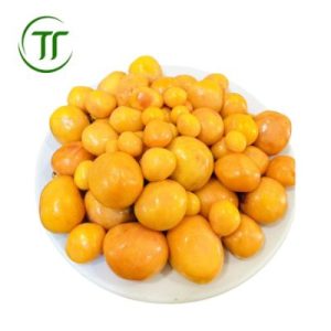 Trứng Non Đông Lạnh
