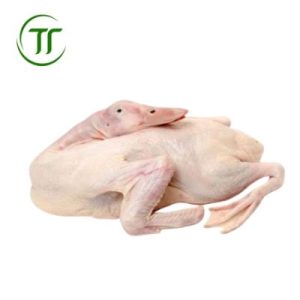Vịt Trời Làm Sạch