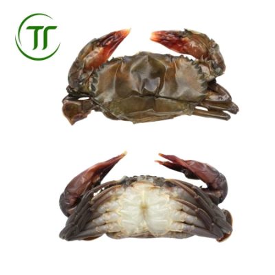 Cua Lột Size 8 Cua Lột Size 8