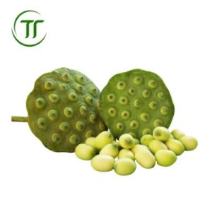 Bát Sen Tươi