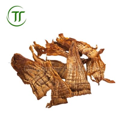 Măng Nứa Măng Nứa