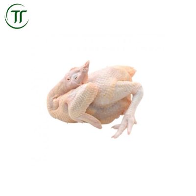 Gà Ta Loại 1,5kg/con Gà Ta Loại 1,5kg/con