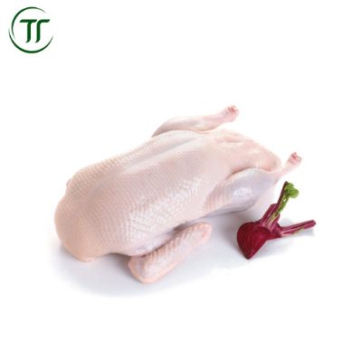 Ngan Làm Sẵn Ngan Làm Sẵn