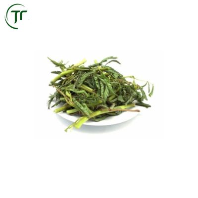 Rau Rút Nhặt Sẫn Rau Rút Nhặt Sẫn